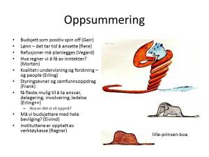 Oppsummering