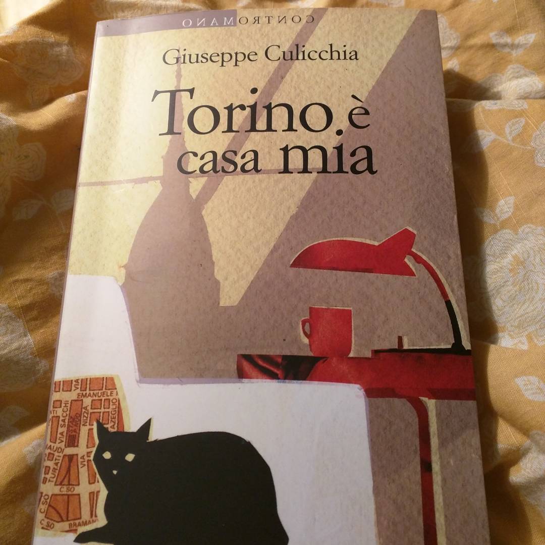 12145181_1680399178872247_1812469785_n