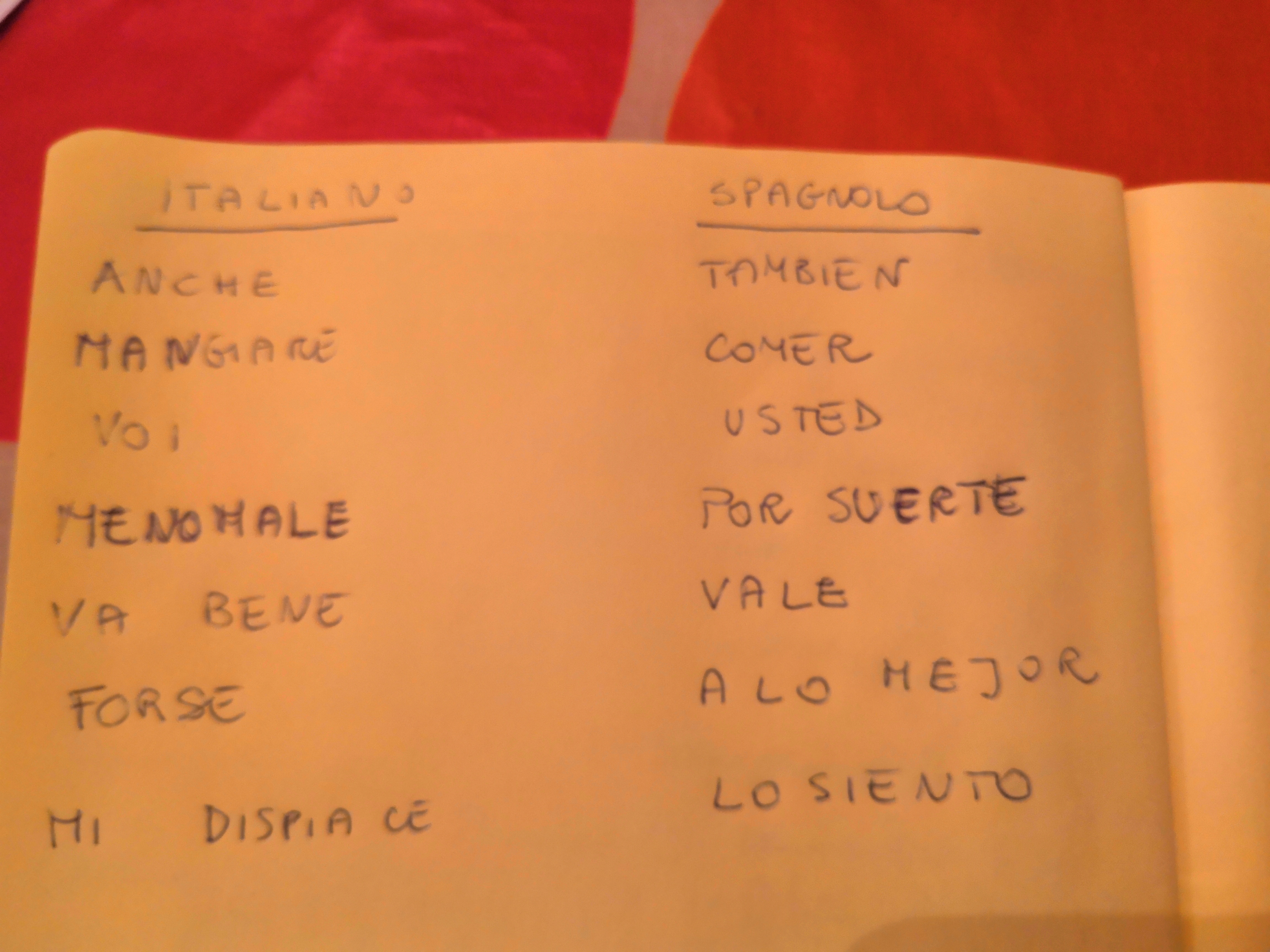 IMG_20190113_181825 (002).jpg