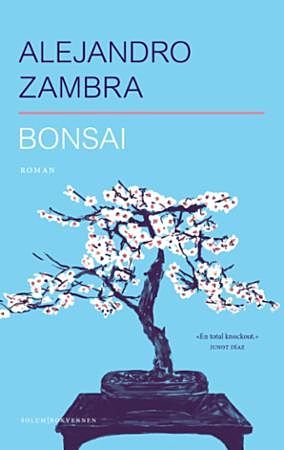 bambus zimmerpflanze standort Bambus Aureocaulis (Phyllostachys aureosulcata 'Aureocaulis') | 125-150 cm  im Topf